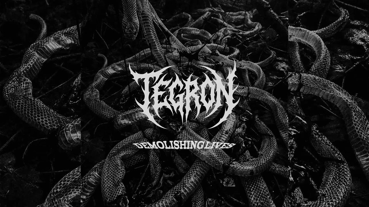 TEGRON | DEMOLISHING LIVES