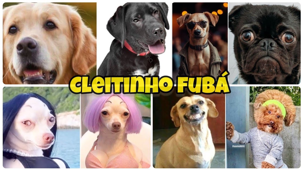 Cleitinho fubá, Negão da 300, Caramelo e sua turma, As melhores Narrativas animal 2025, Parte 01