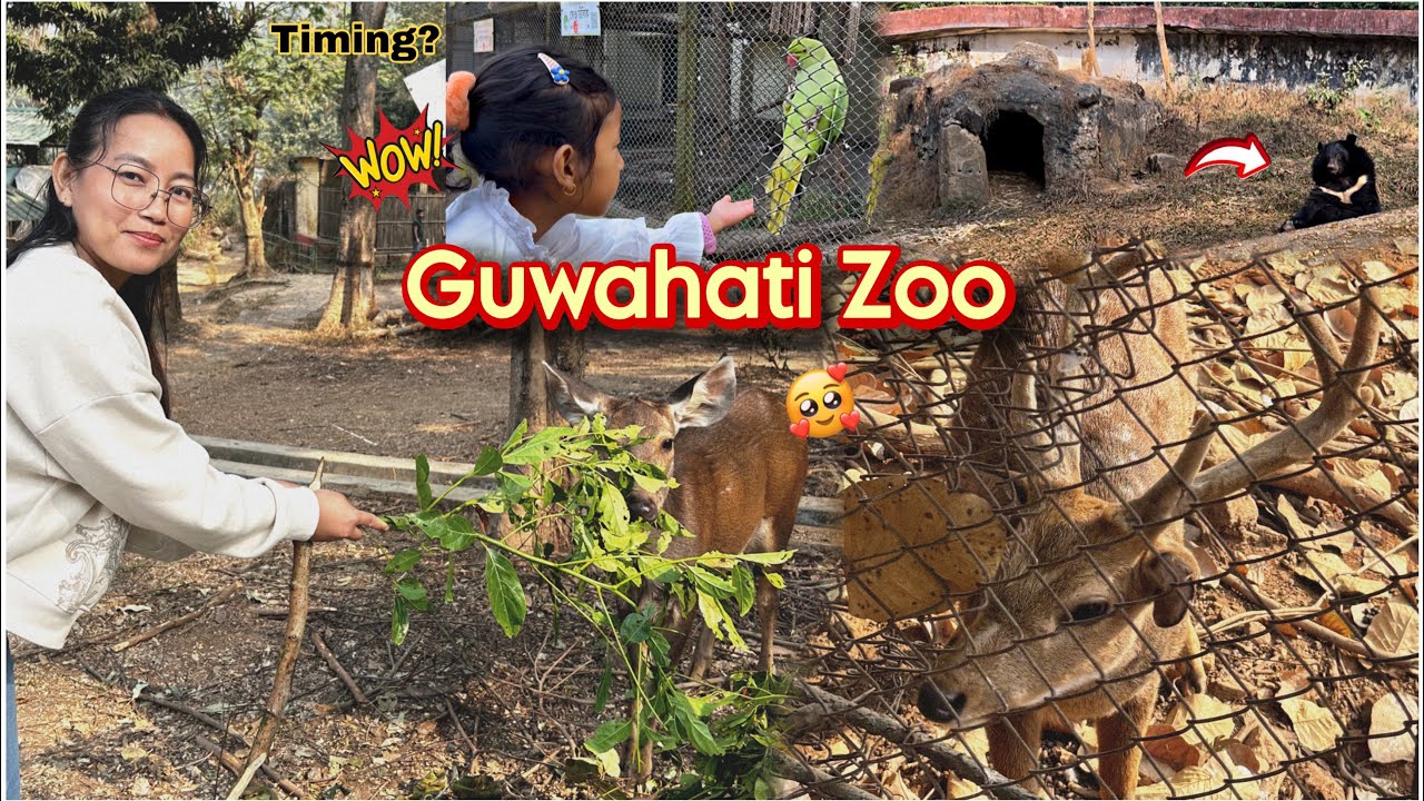 Exploring Guwahati Zoo🦌 || Timing? Ticket Price?✅