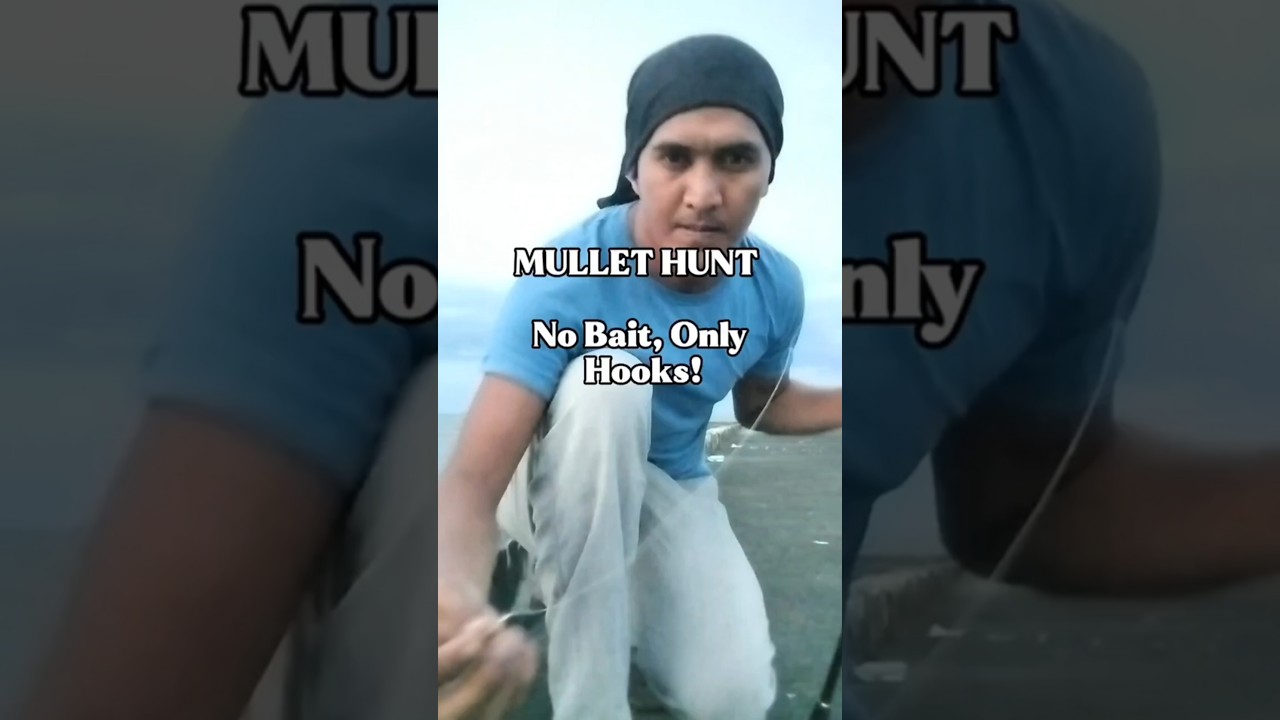 Catching Mullet 🐟 with Just Hooks🪝 – The Ultimate Challenge💪🏻💥! Mullet Fishing in Cebu 🎣🎣🎣
