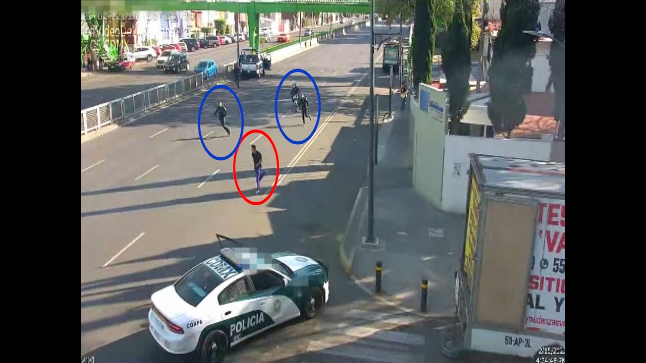 Casos Relevantes de la Semana del 13 al 19 de Febrero - C5 CDMX #VideoDeLaSemana