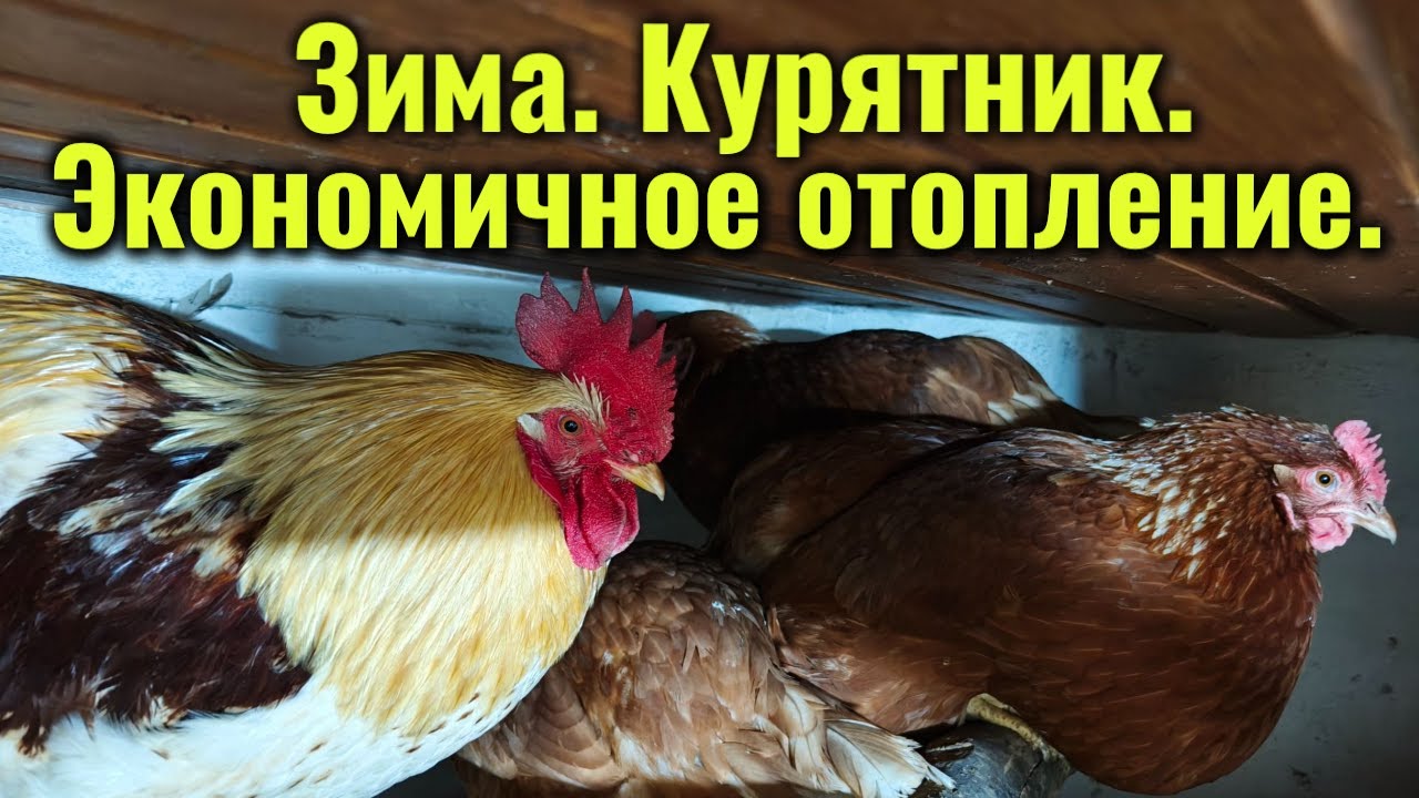 ЭКОНОМИЧНОЕ ОТОПЛЕНИЕ КУРЯТНИКА на даче зимой