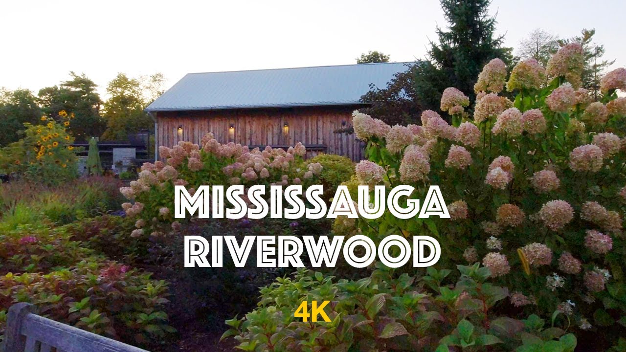 Mississauga, walking in the Riverwood Park #gezencouple