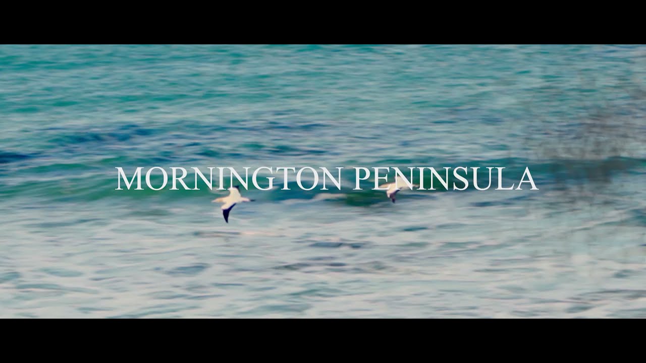 Mornington Peninsula Australia  Cinematic Travel video