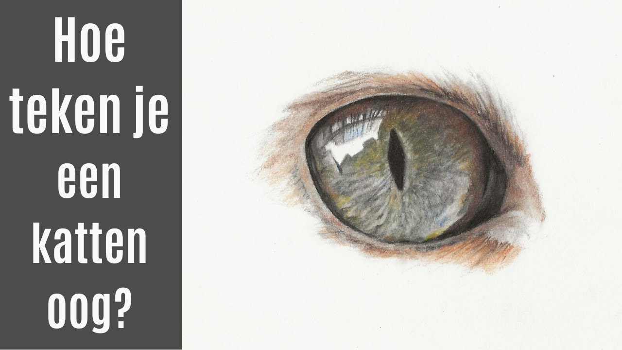 LEREN TEKENEN voor beginners | Hoe teken je een oog?: KAT