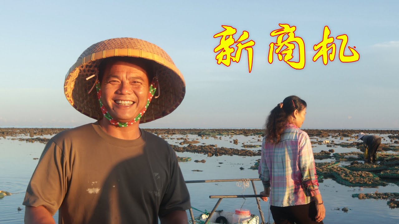 老四赶海捡到一种神奇生物，内陆人没见过，准备投资大规模养殖
