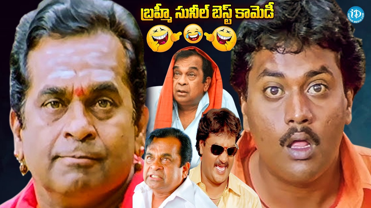 బ్రహ్మీ సునీల్ బెస్ట్ కామెడీ  | Brahmanandam Sunil All Time Best Comedy Scenes | iDream Vizag