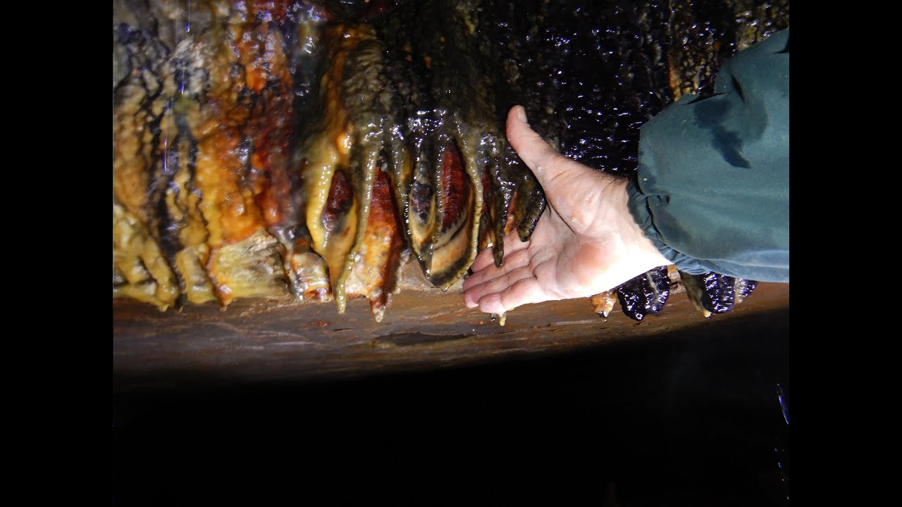 Cave of Microbial Wonders