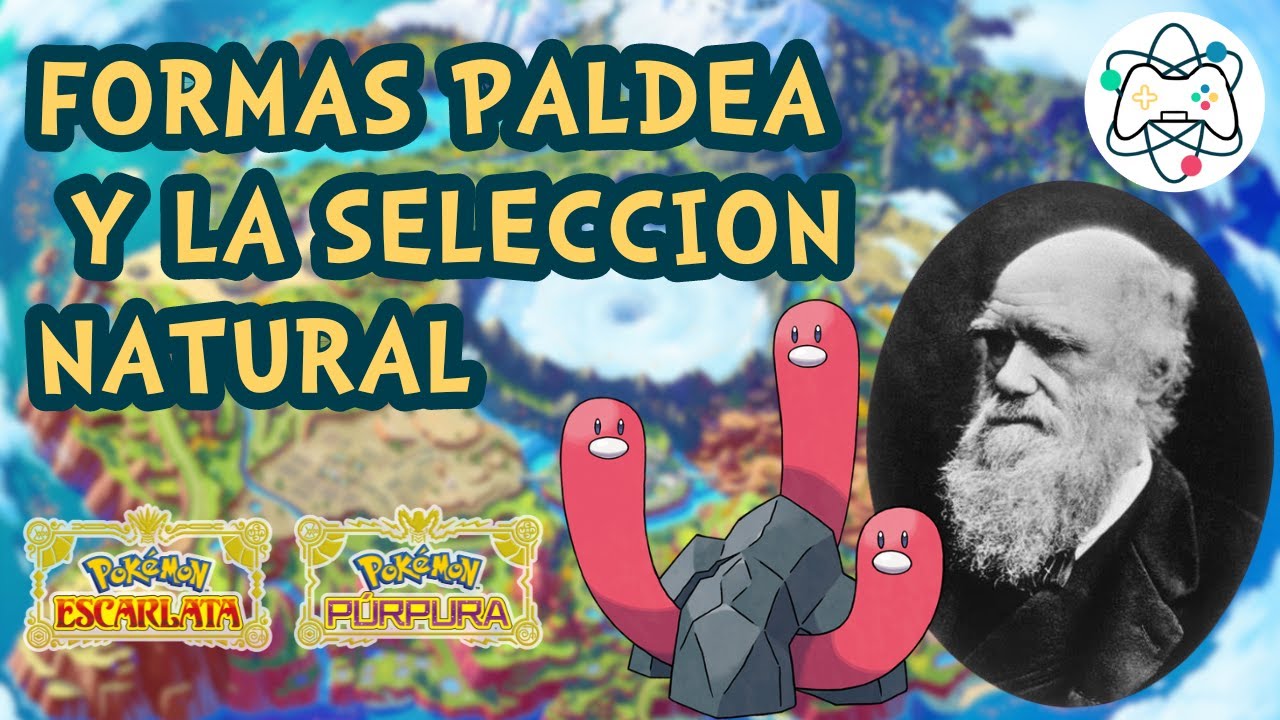Formas regionales de Paldea: Ranking del mejor concepto evolutivo
