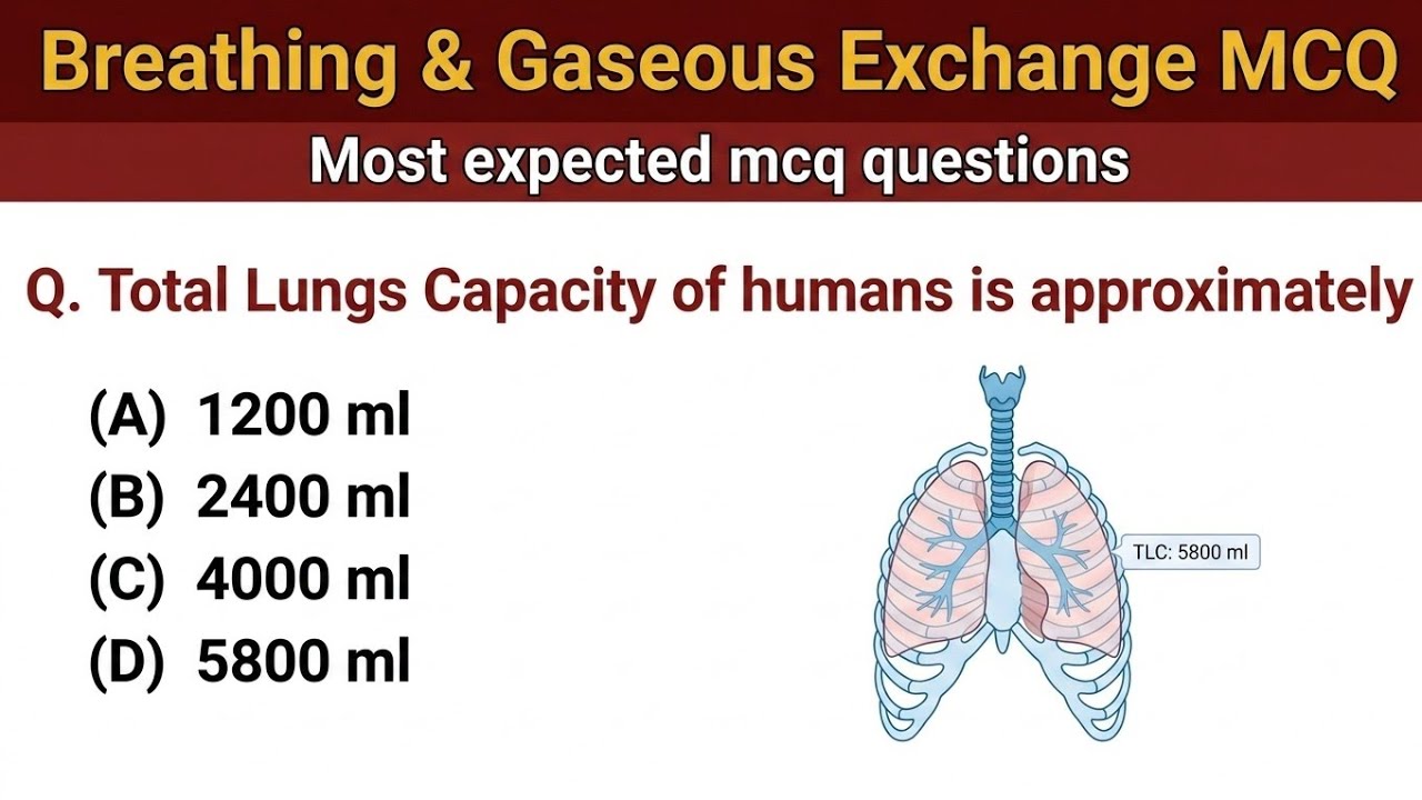 Mastering Breathing and Gas Exchange MCQ | Class 11 | NEET Biology MCQ