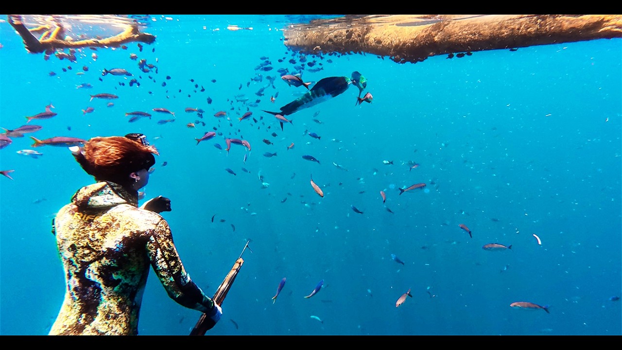 This is WHY We Dive! EPIC SPEARFISHING On A Remote Coast!