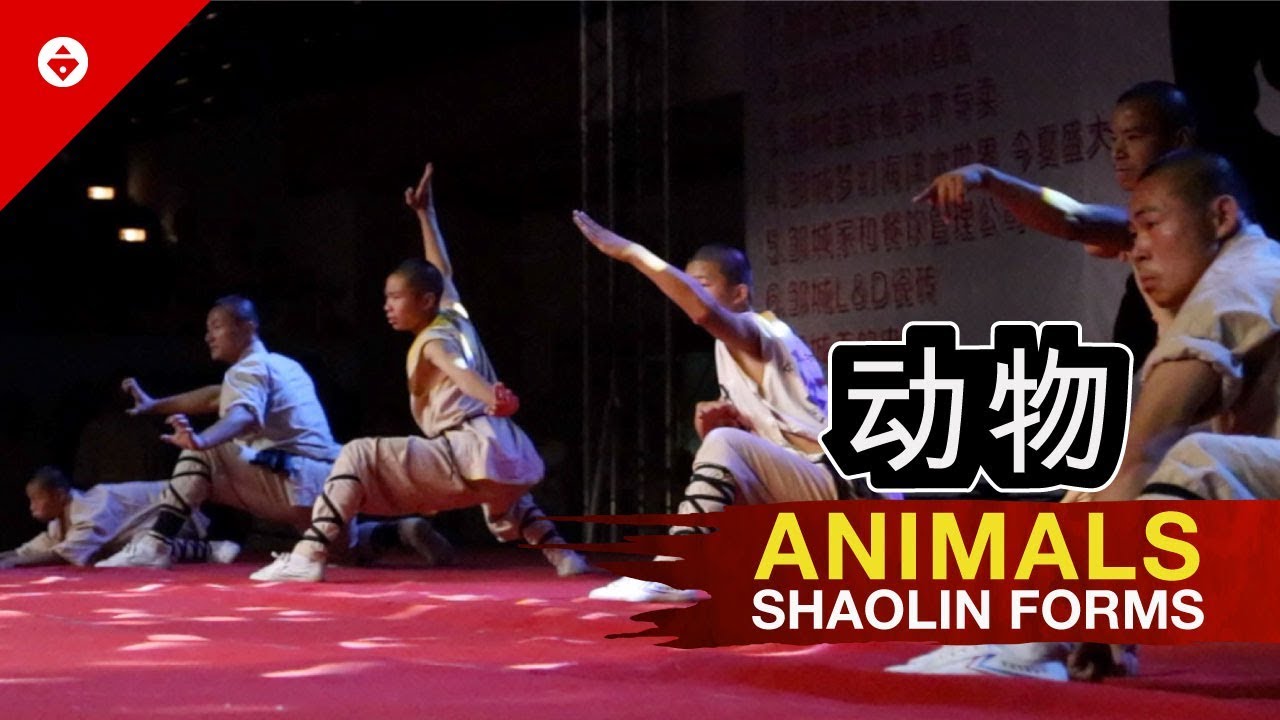 8 SHAOLIN ANIMALS Styles | INCREDIBLE Shaolin Kung Fu Warrior Monks Show