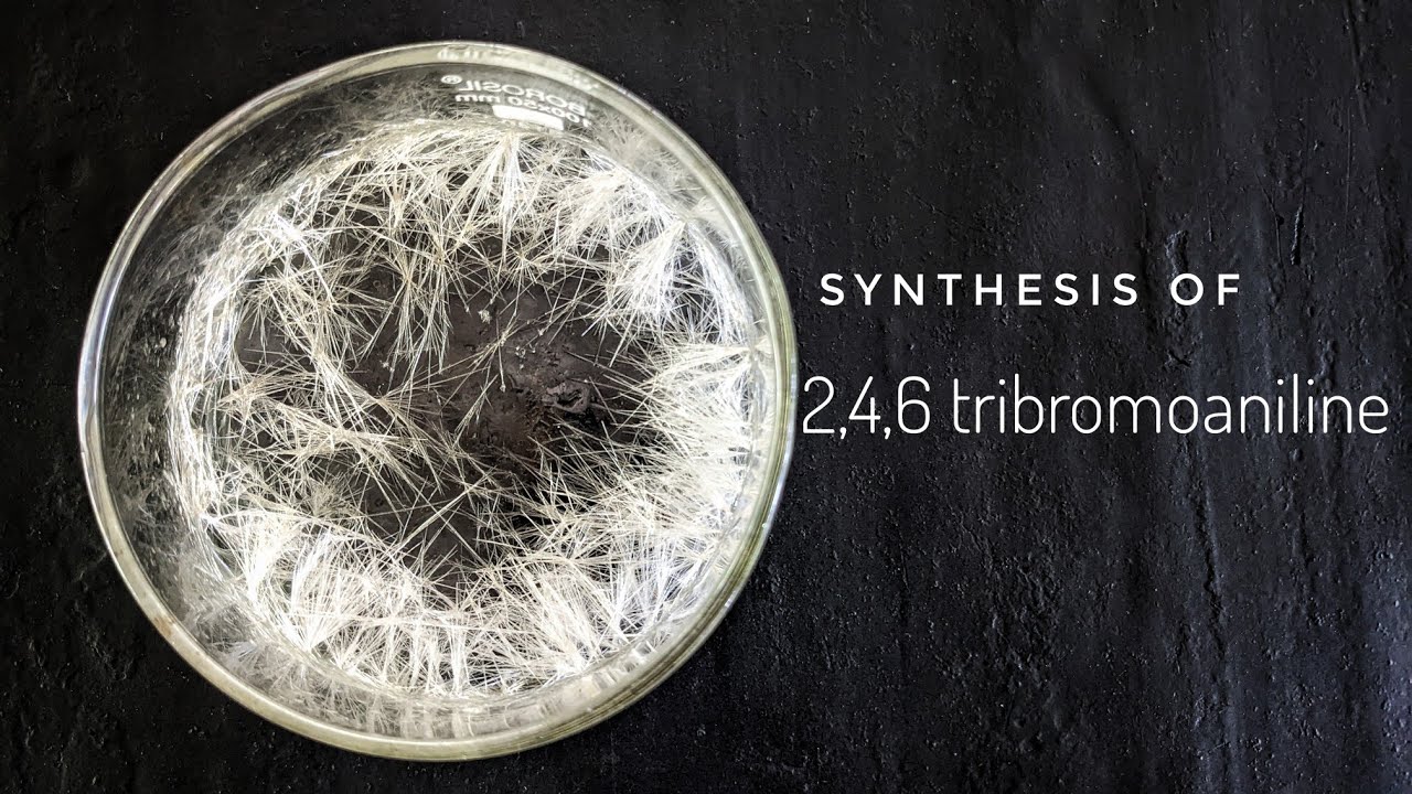 Tribromoaniline : Synthesis