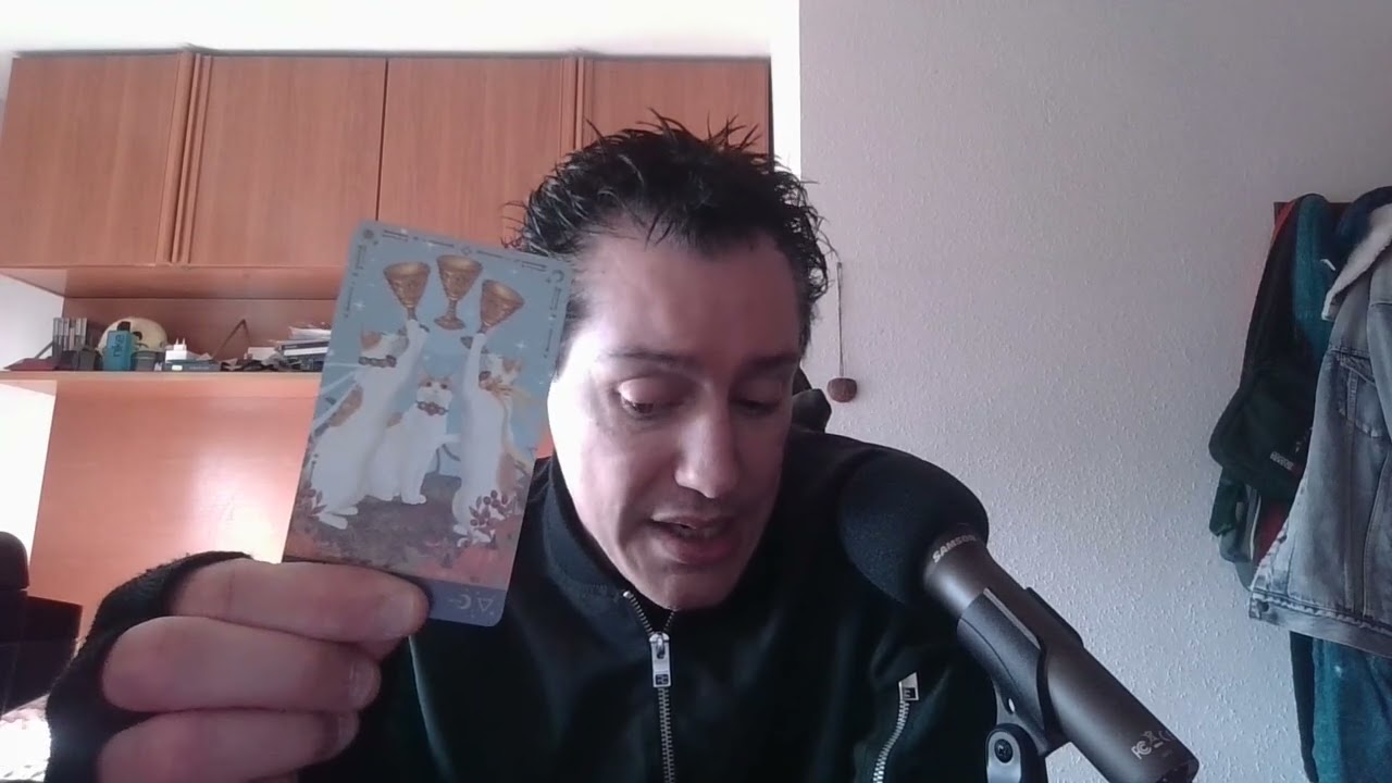 Chismes!!!antes de que te enteres tú!tu personita viene a hablarte  con toda la verdad!!te ama!!
