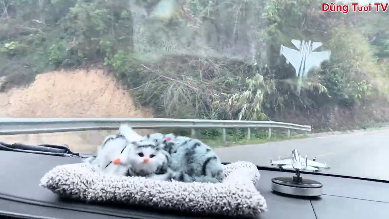 Một ngày chủ kênh đi đám cưới xa nhà moi người ủng hộ nhé 