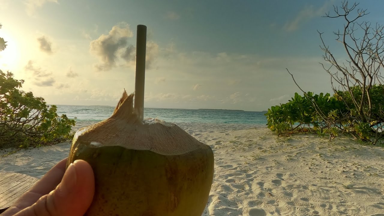 Maldives 2025 - Hanimaadhoo Island - Haa Dhaalu Atoll