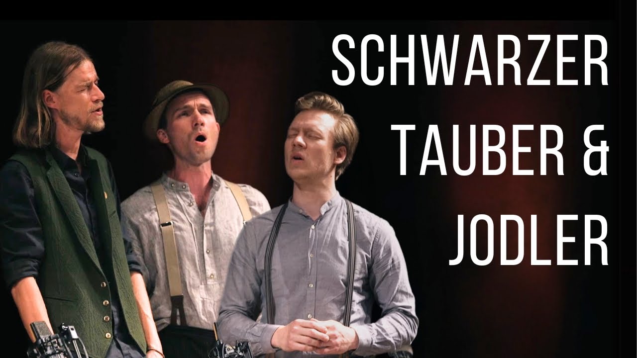 Postwirtmusi - Schwarzer Tauber & Jodler - Live im Wiener Konzerthaus