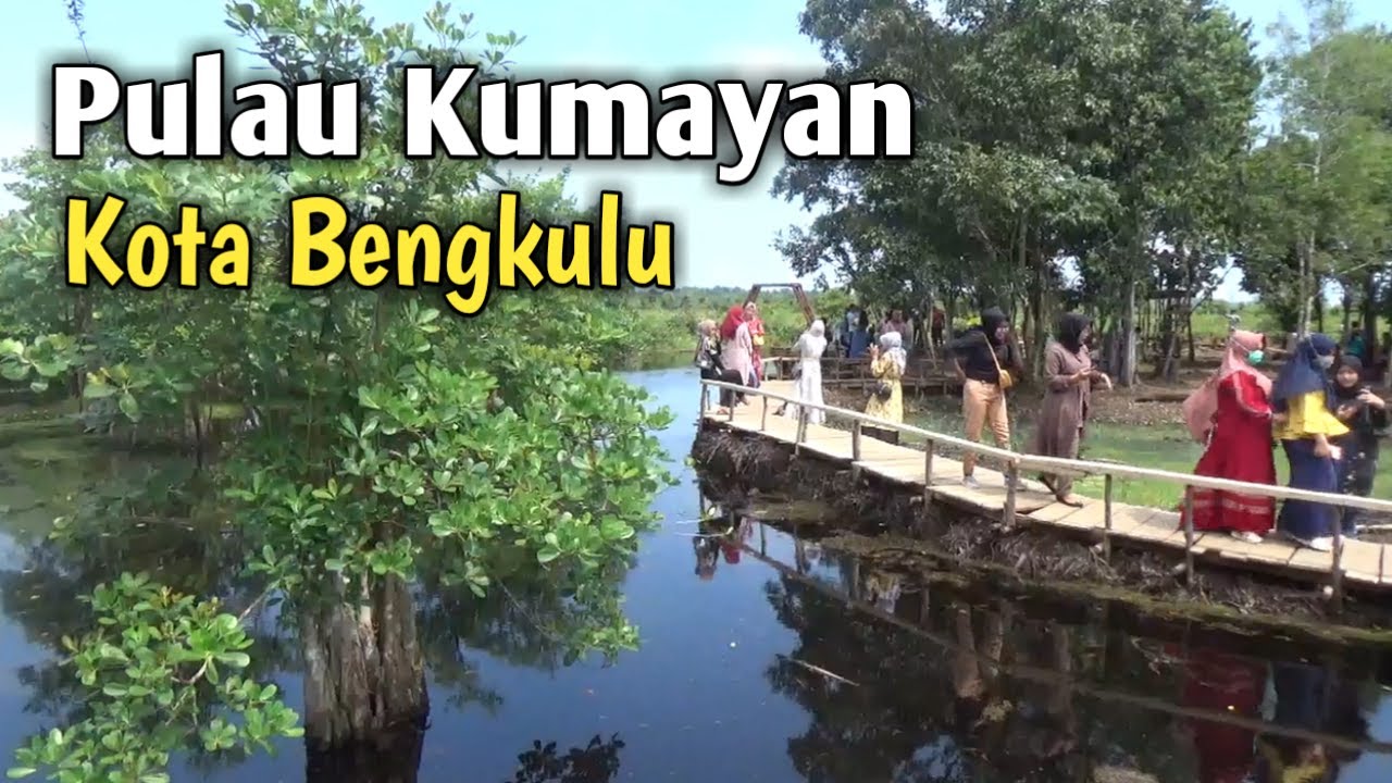Baru dan pertama di Bengkulu objek wisata rawa yang mempesona - pulau kumayan