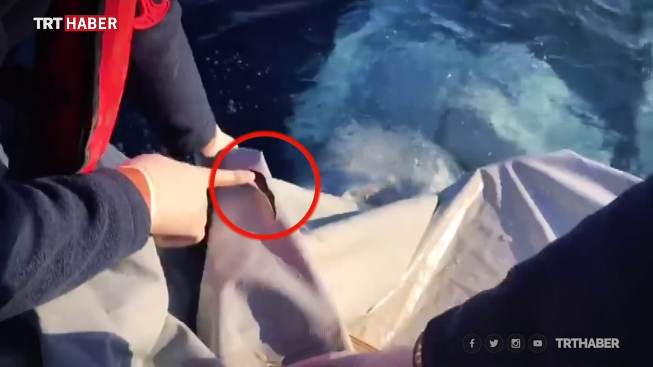 Yunanistan'ın ölüme terk ettiği sığınmacıları Türkiye kurtardı