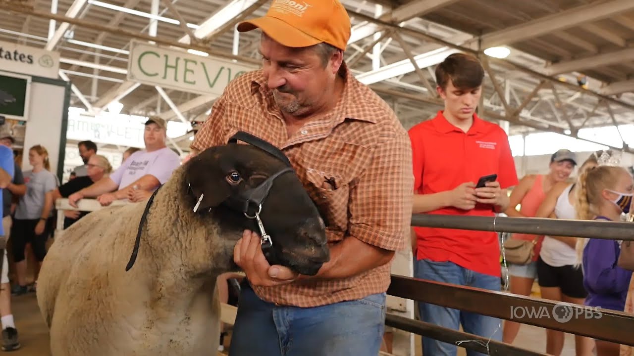 Big Animals | 2021 Iowa State Fair
