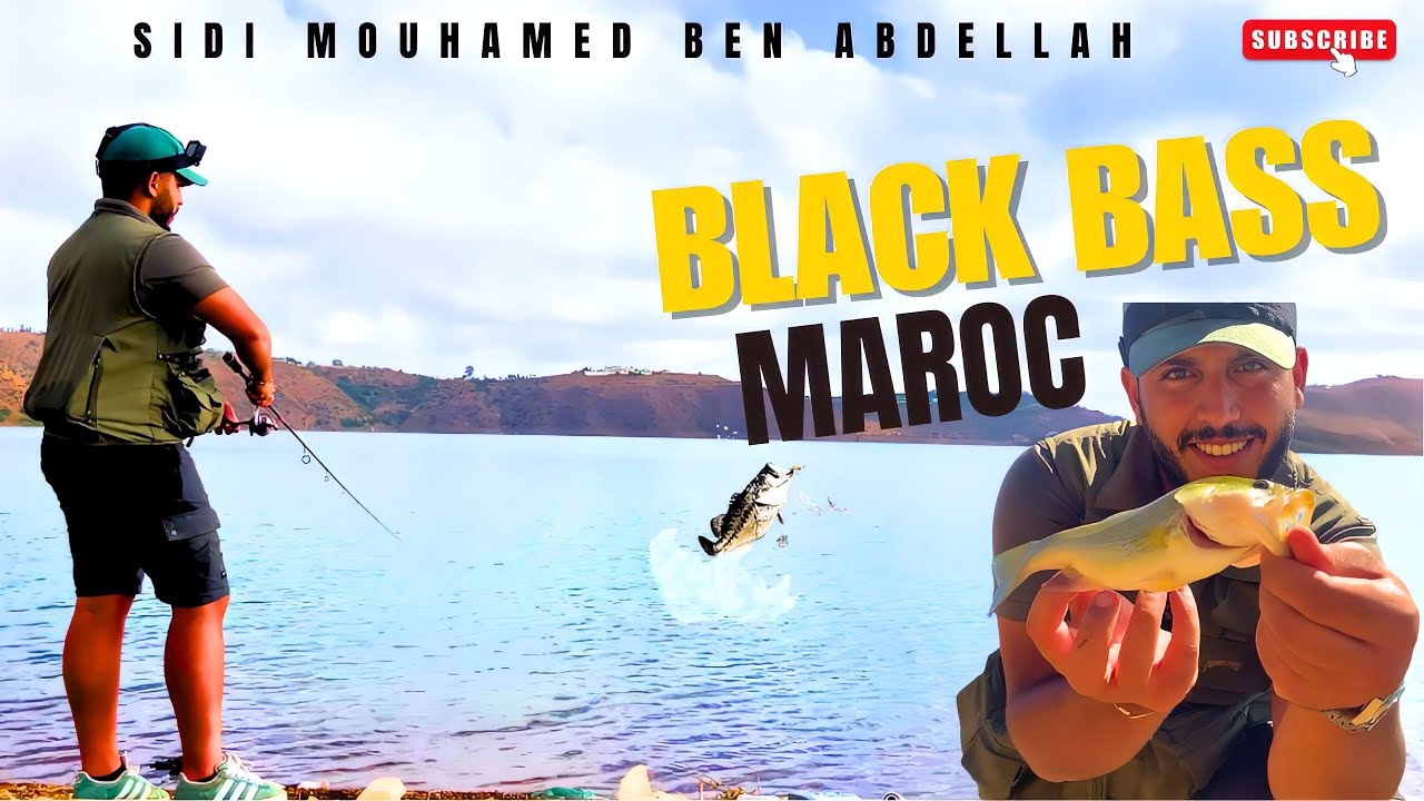 صيد سمك البلاك باص في المغرب 🇲🇦 سد سيدي محمد بن عبد الله🎣