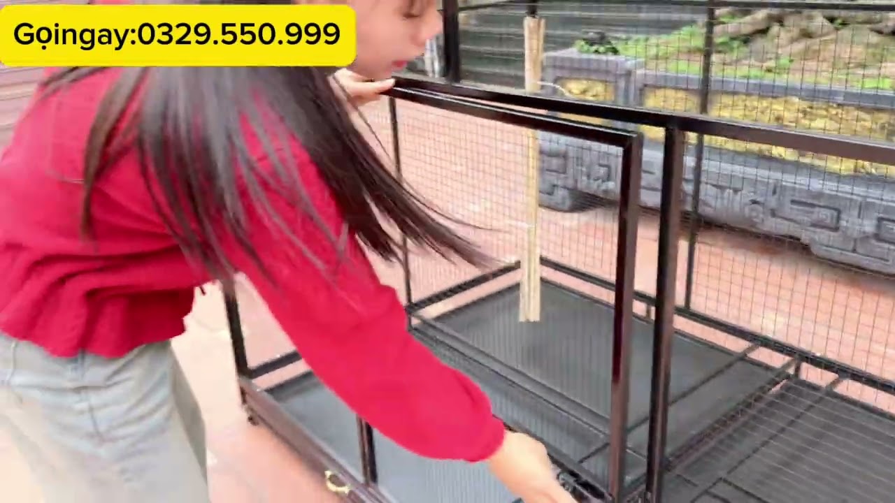 Mẫu avi nuôi siêu to.. các anh em nhanh tay sắm ngay 1 chiếc cho những chú chim thân yêu của mình .