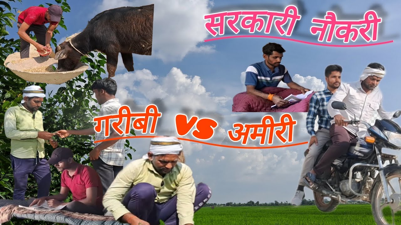 सरकारी नौकरी l सरकारी नौकरी के लिये संघर्ष 