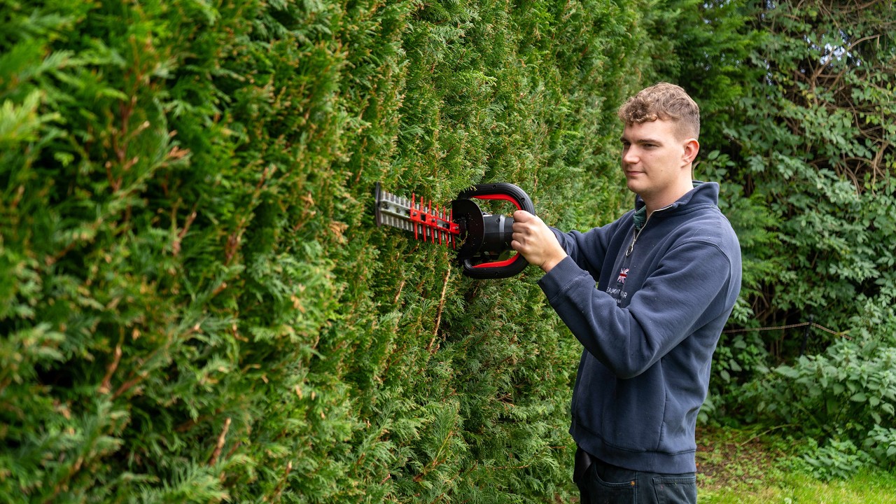 Kress 60V 64cm Hedge Trimmer Review: Power Meets Quiet in Cordless Perfection! 🌿⚡