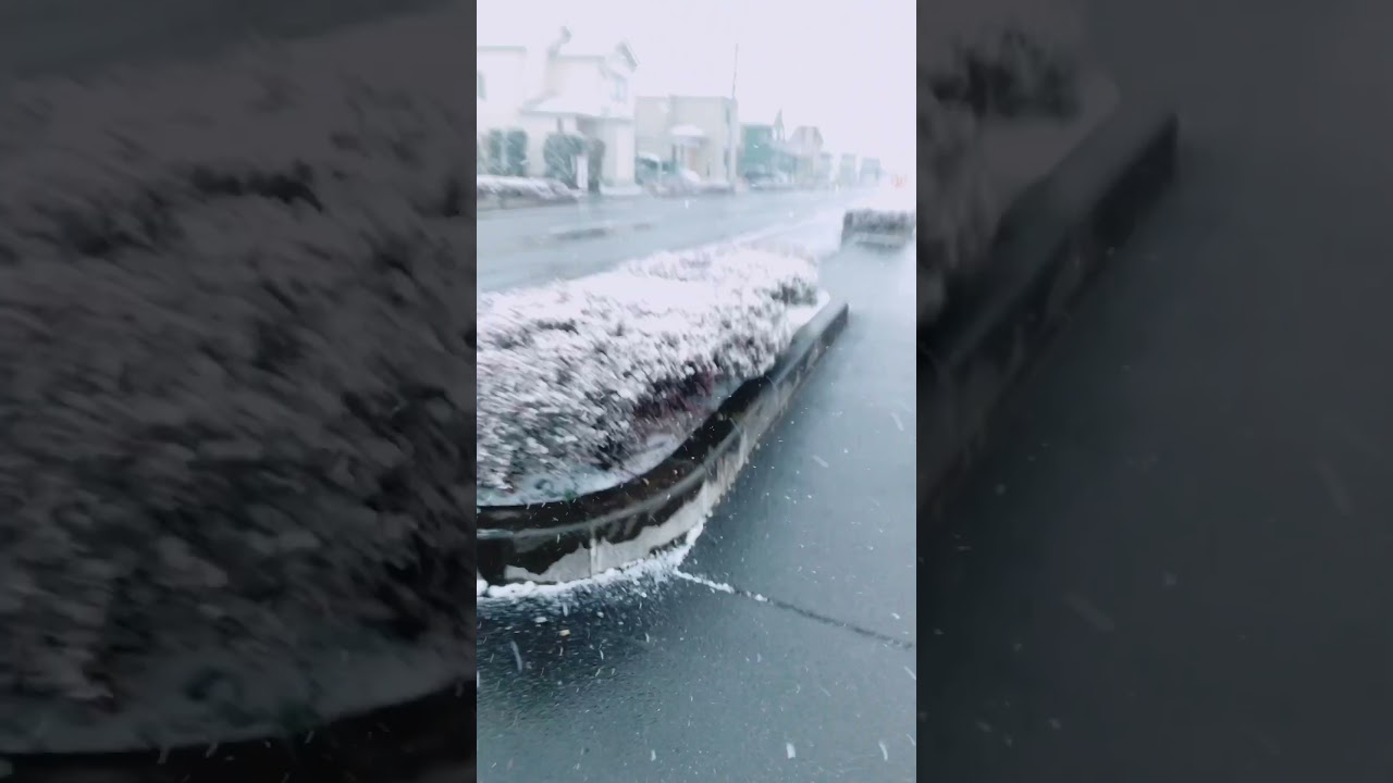 寒すぎ🥶
