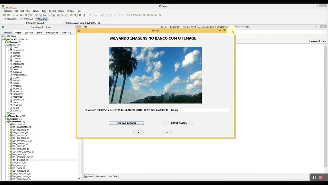 SALVANDO IMAGENS NO BANCO COM O TIMAGE - DELPHI 10.3