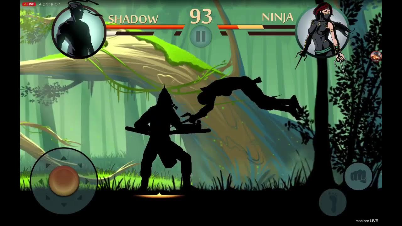 shadow fight 2