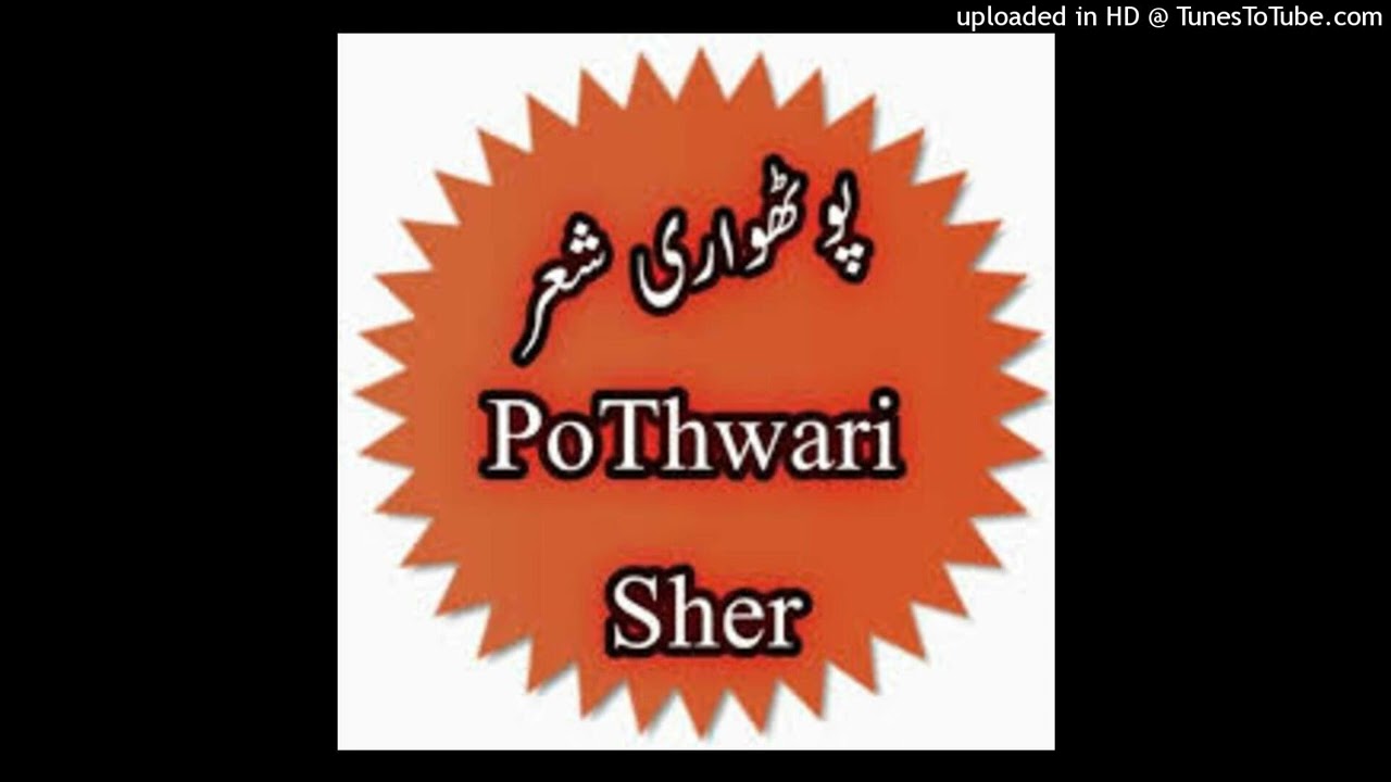 Pothwari sher raja qamar vs zubair sati