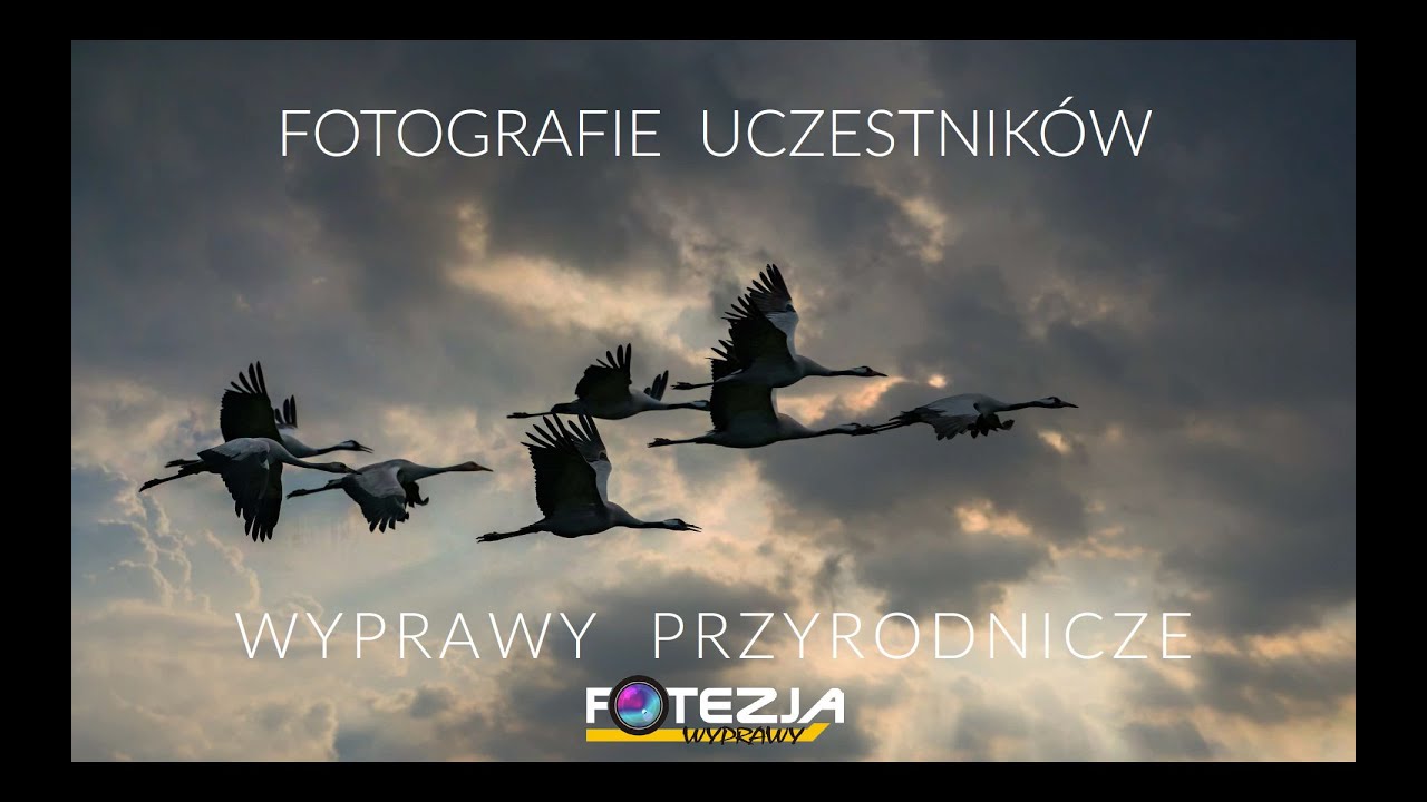 Album Wyprawy Przyrodnicze Fotezji - fotografie uczestników
