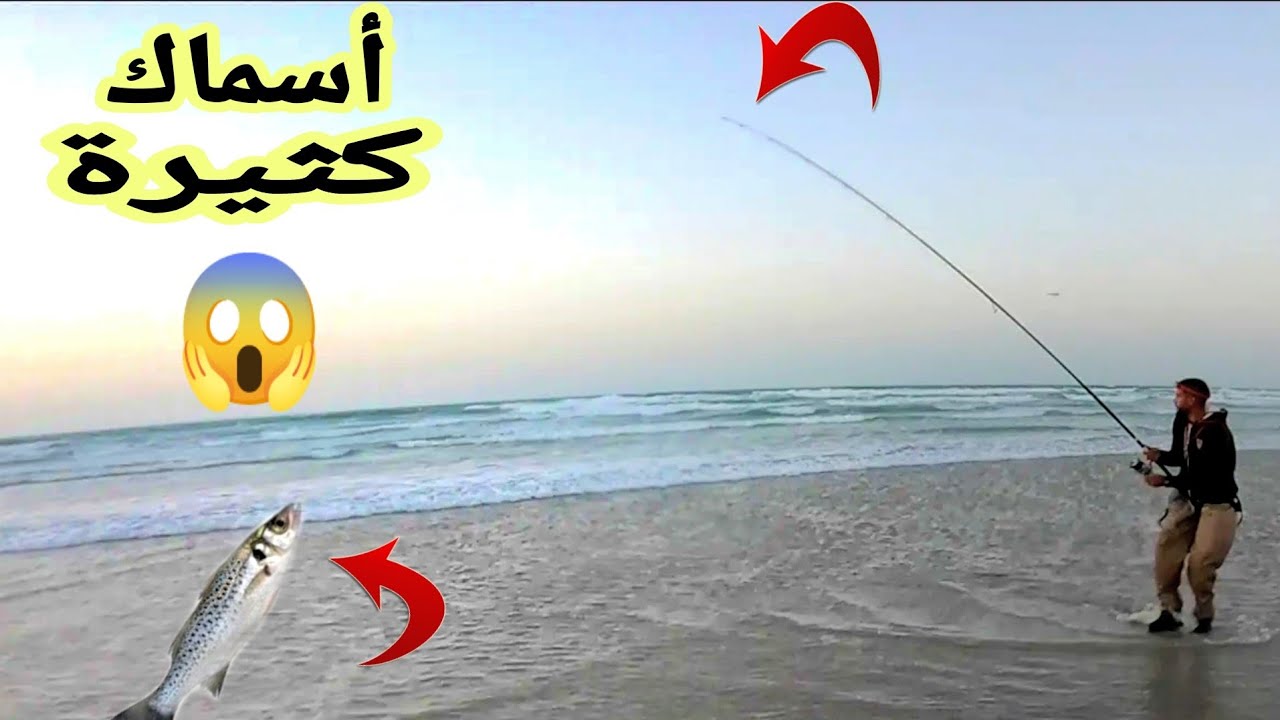 أجواء رائعة و لقطات صيد مباشرة من مصيد عين البيضا جنوب الداخلة (الجزء 2)