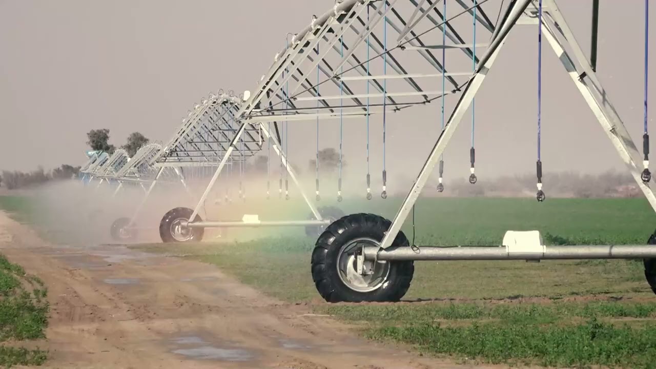 Green Pakistan Initiative project is running in the Cholistan desert near Bahawalpure