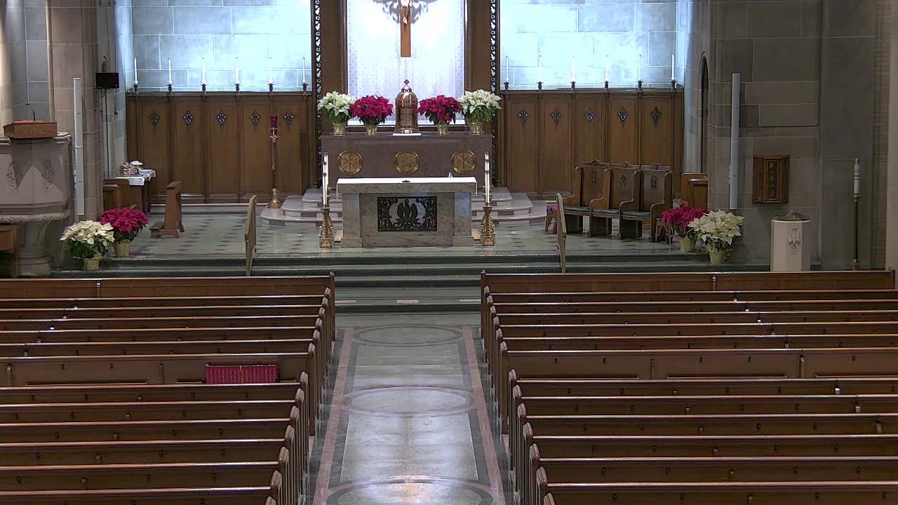 Saturday Evening Mass - January 31, 2026