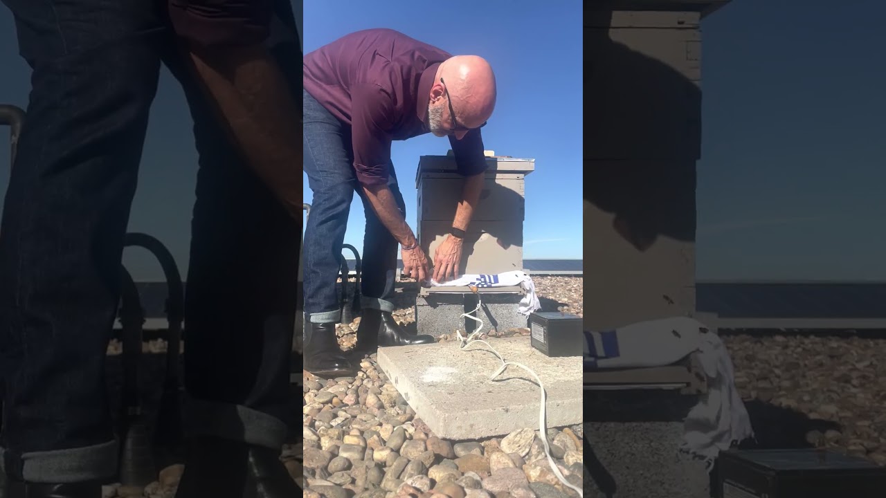 LONG Beekeeping - Winterizing the Hive