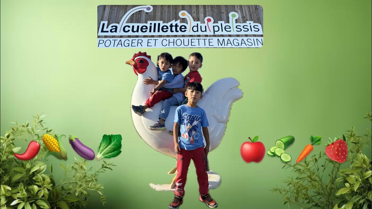 Amazing Vegetable 🥕🍆🌽🥒🍎🌶️🥬🍓Farms Organic ( PARIS ) 