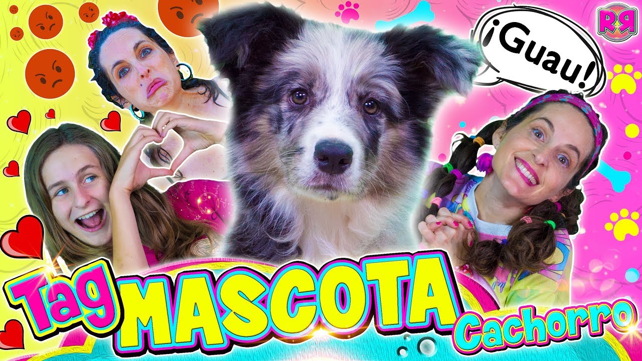 TAG de la MASCOTA CACHORRO 🐶 Cosas sobre mi perro 💖 🐺 Vídeo de risa divertido de perros cachorros