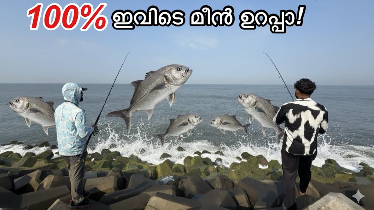 🔥86 മീൻ പിടിച്ച ദിവസം!! | Kerala Sea Fishing and Cooking 