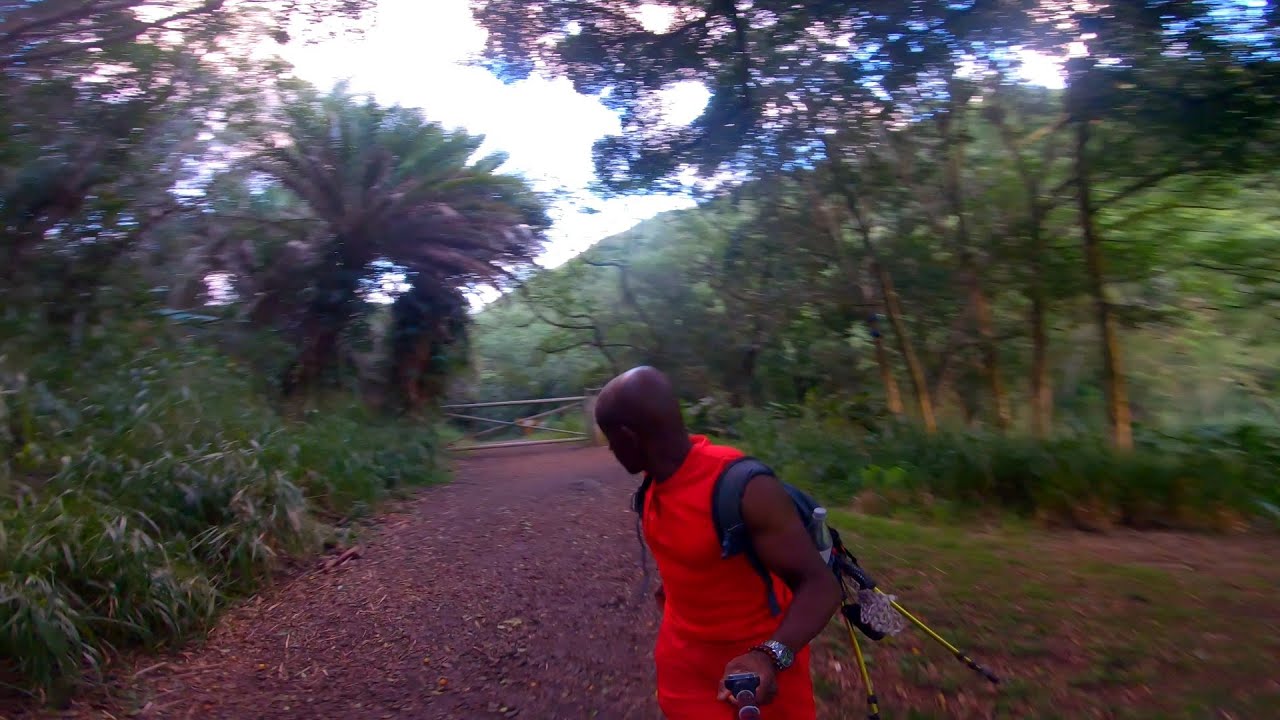 The Haiku Stairs  |  Chapter 11 & 12 - The Last Mile