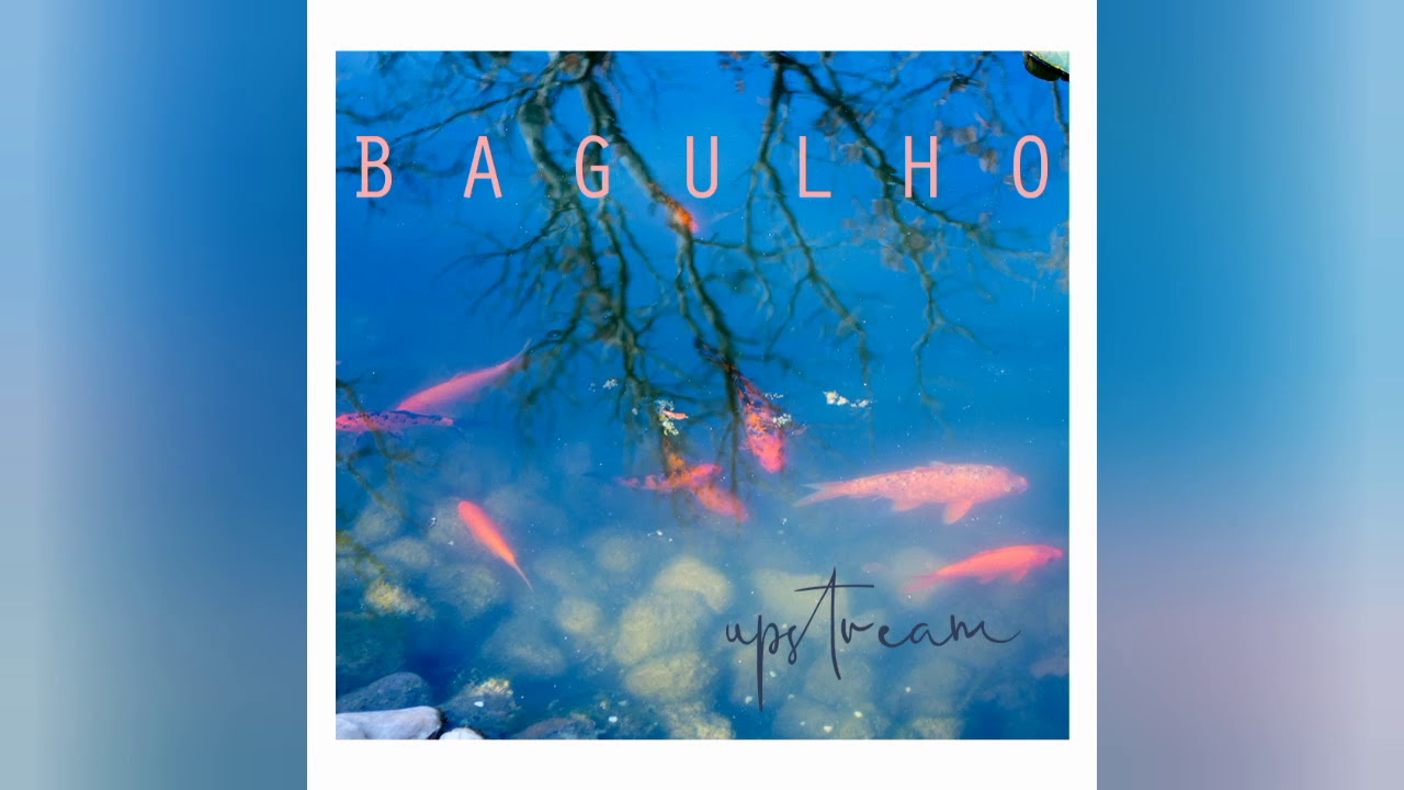 B A G U L H O - 100 Vida