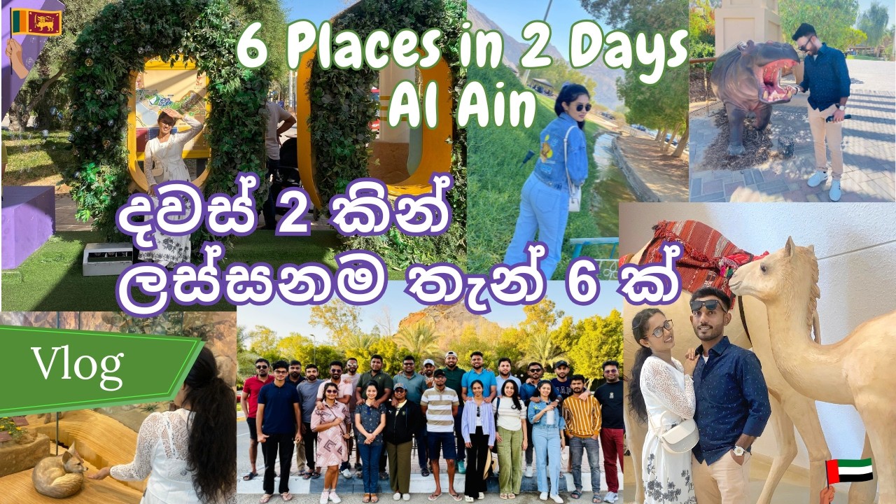 🏰 6 Places in 2 Days 📸 Al Ain 🐪 UAE 🏜️ දවස් 2 කින් ලස්සනම තැන් 6 ක් 🌸 2025 end