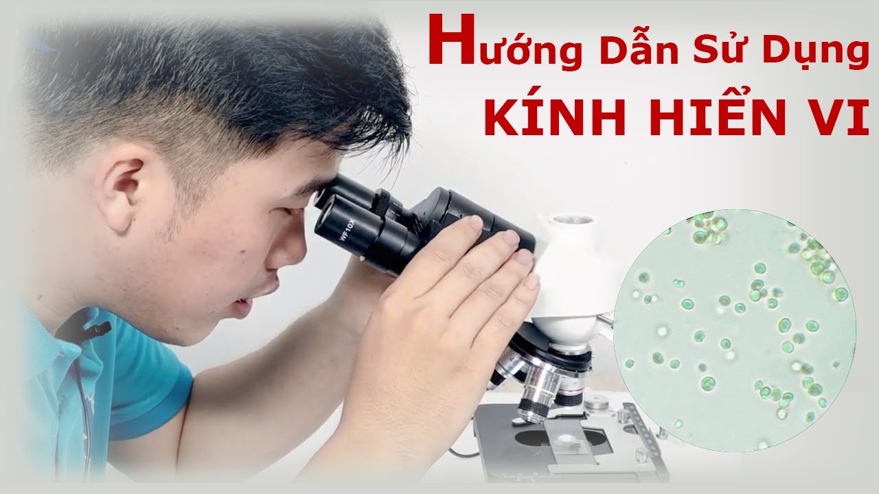 Hướng Dẫn Sử Dụng Kính Hiển Vi Sinh Học XSP-200SM Kết Nối Màn Hình