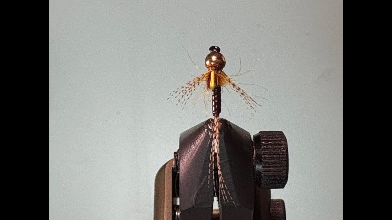 Fly Tying a Tungsten Bead Head Split Case Sulphur Mayfly Nymph