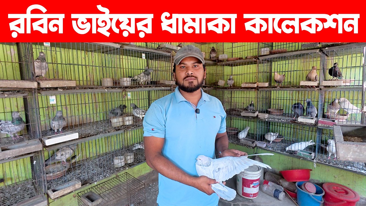 রবিন ভাইয়ের ধামাকা কালেকশন