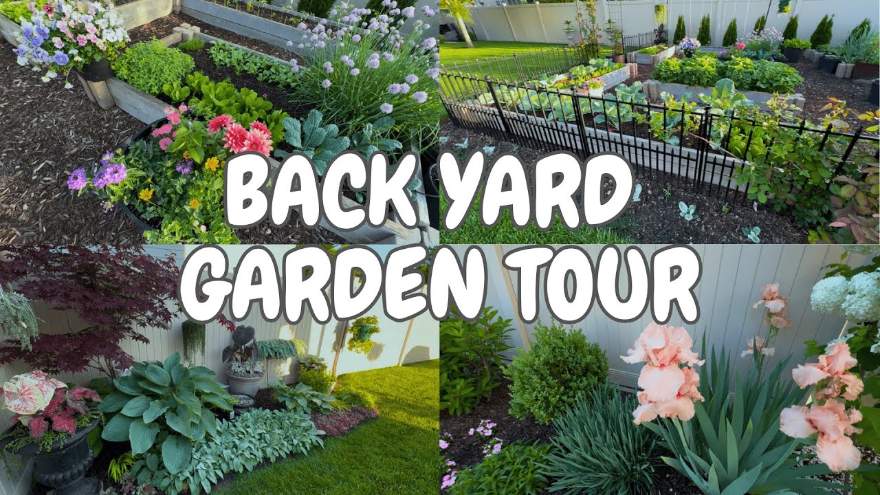 May Back Garden Tour