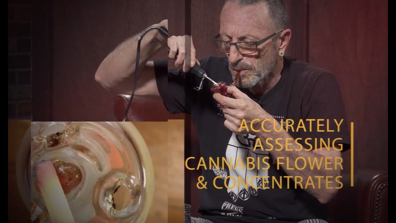 Ganjier: The Cannabis Sommelier Training Program / Experts & Curriculum