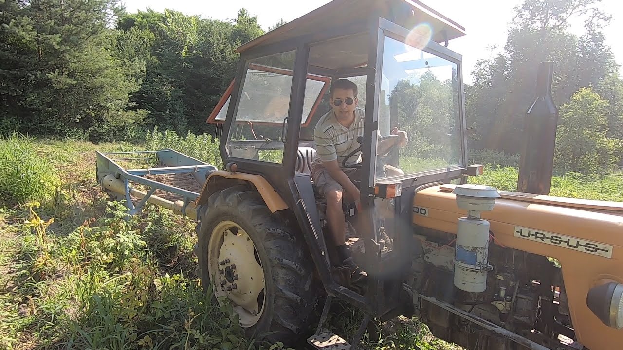 Kopanie Ziemniaków/ Elewatorowa i C-330 w akcji