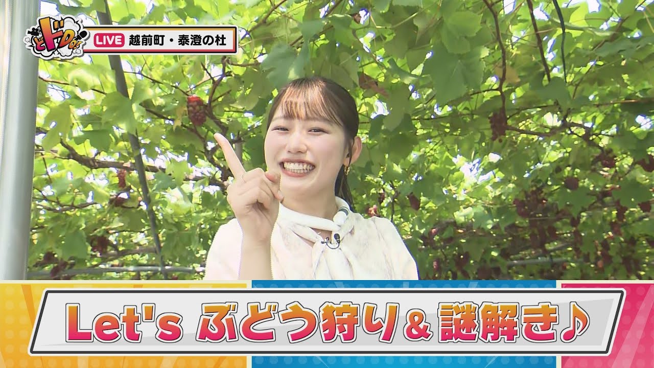 にじパレ どドDo！～泰澄の杜ぶどう狩り～